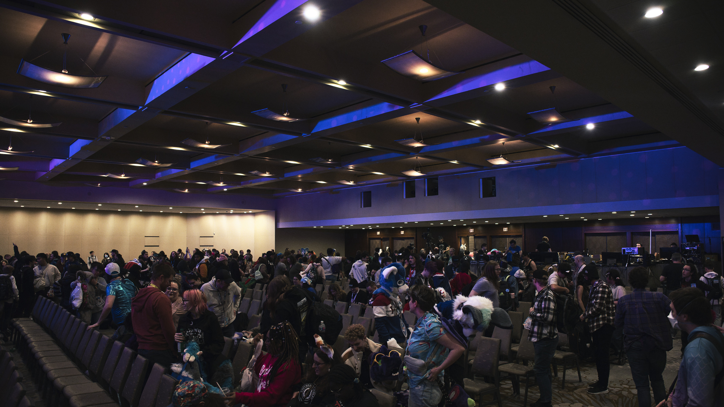 Photo of Zee the Raccoon holding a camcorder, photo taken by Dozing Unicorn