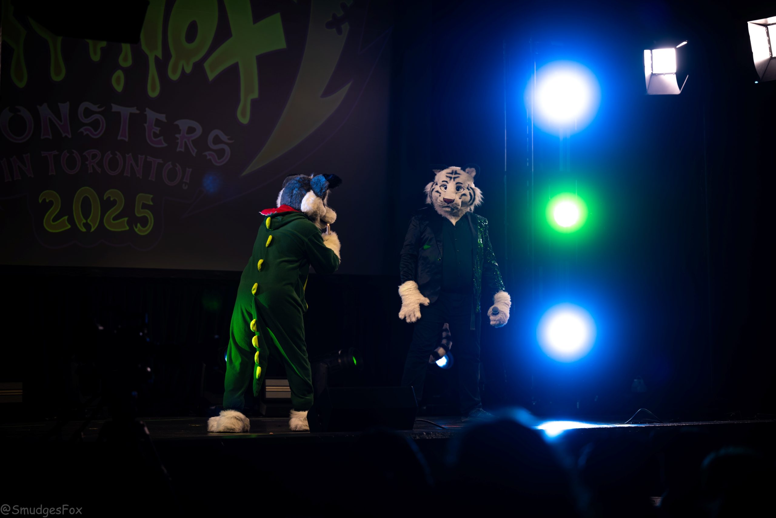 Photo of Zee the Raccoon holding a camcorder, photo taken by Dozing Unicorn